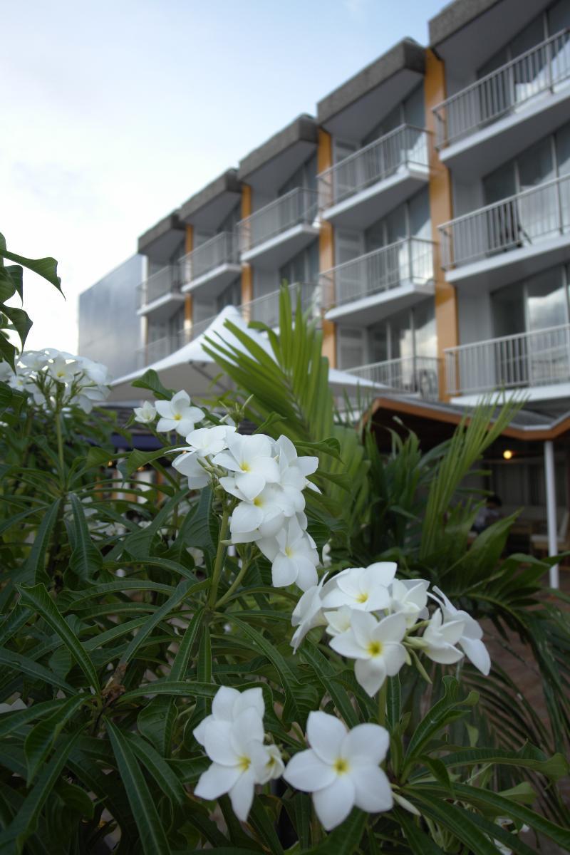 Radisson Hotel Paramaribo Exteriör bild